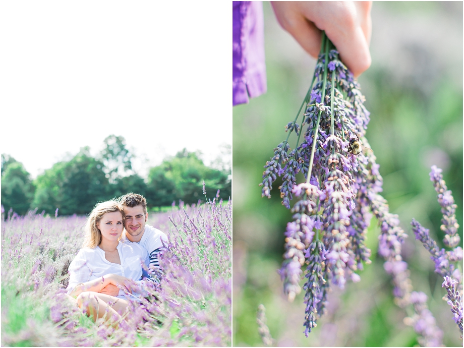 lavender field couples session_0011