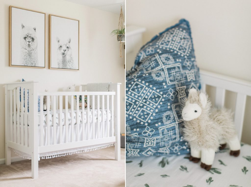 Baby Boy Llama + Cactus Nursery // Baby Errington · Pennsylvania Fine
