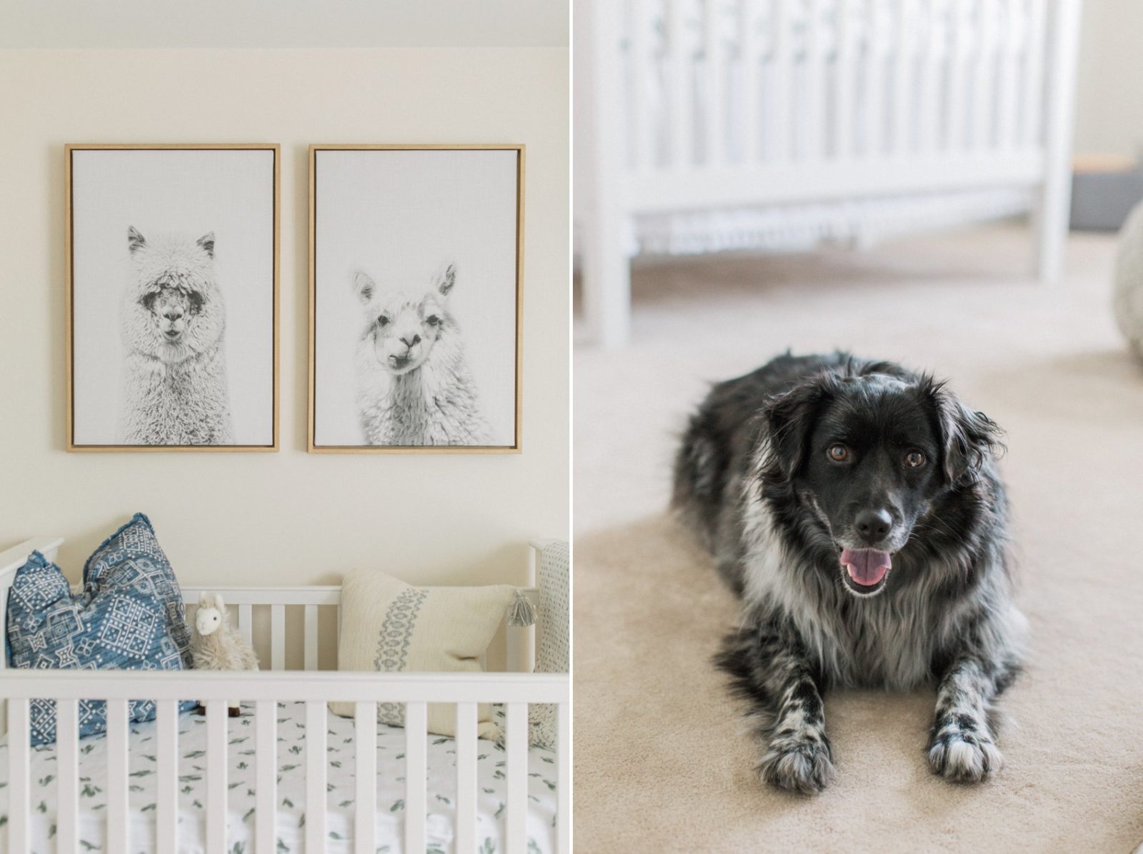 Baby Boy Llama + Cactus Nursery // Baby Errington · Pennsylvania Fine